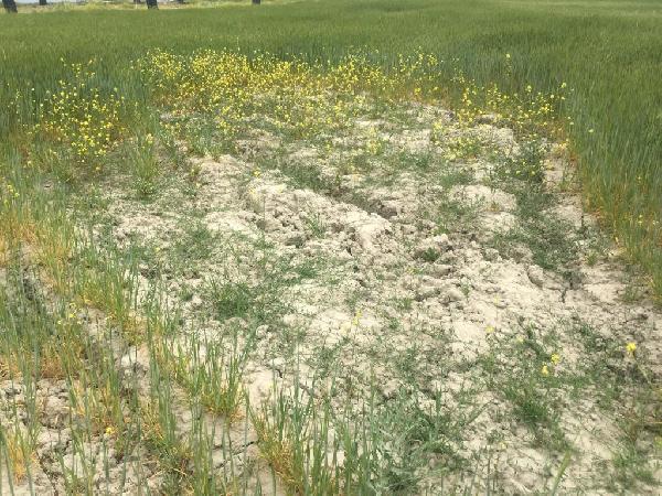Su için kazdığı kuyudan gaz çıktı